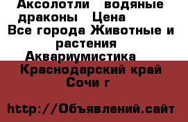 Аксолотли / водяные драконы › Цена ­ 500 - Все города Животные и растения » Аквариумистика   . Краснодарский край,Сочи г.